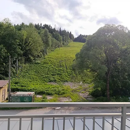 A-103 Brezovina Apartment Oravske Vesele