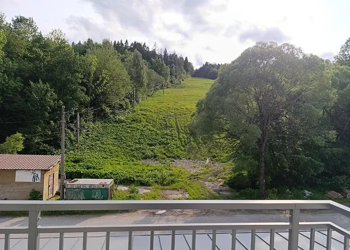 A-103 Brezovina Lejlighed Oravske Vesele